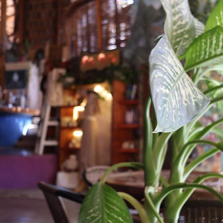 Posada Del Molino Todos Santos Bagian luar foto